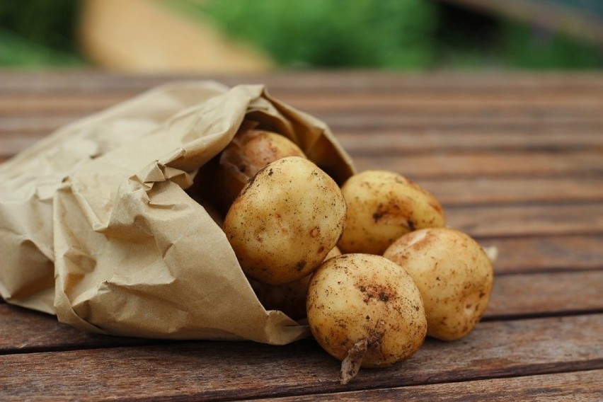 Ziemniaki zawierają cenne minerały i witaminy, dzięki którym...