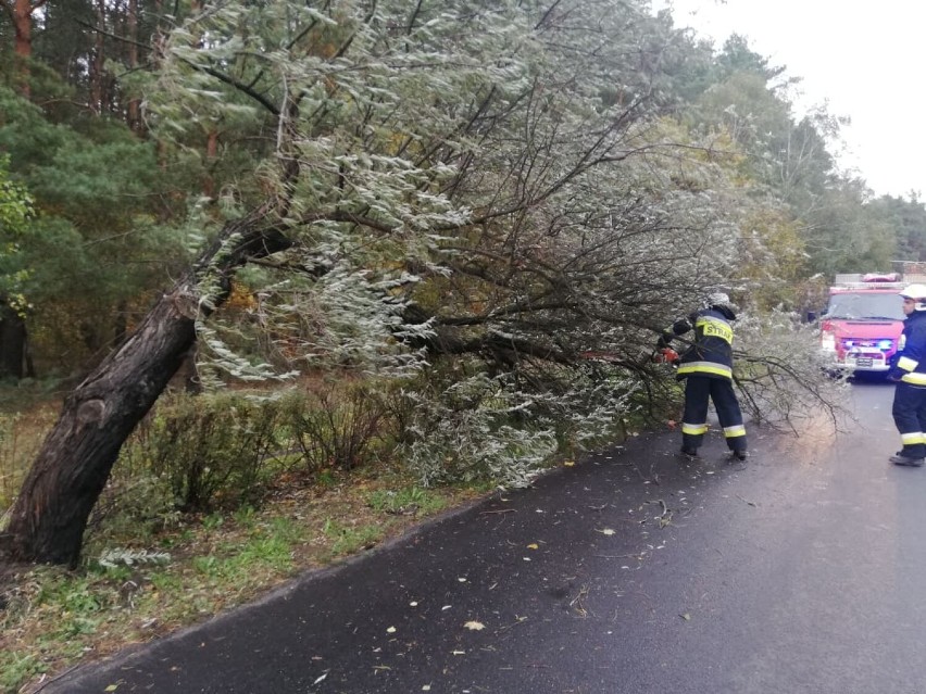 Wiało, łamało i zrywało w powiecie pilskim. To był trudny czas dla strażaków!