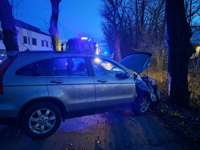 Kompletnie pijany kierowca zakończył podróż na przydrożnym drzewie w Wierzchosławicach Dwudniakach