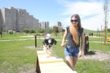 Park dla psów na osiedlu Armii Krajowej w Opolu już otwarty
