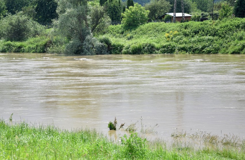 Wysoki stan wody w Sanie w Jarosławiu. Poziom wody to 350 cm. Do stanu ostrzegawczego brakuje 90 cm [ZDJĘCIA]