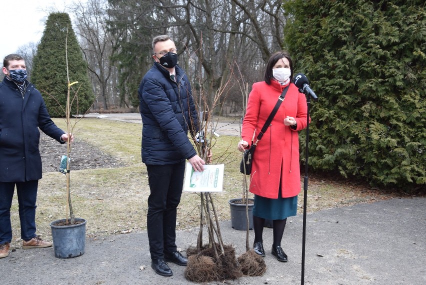 Akcja "Białystok się zieleni". Z okazji pierwszego dnia wiosny, miasto rozda mieszkańcom tysiąc sadzonek