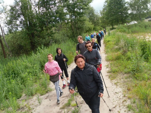 Uczestnicy na trasie 1 z 4 zaplanowanych marszy Nordic Walking z okazji 45 rocznicy praw miejskich Libiąża