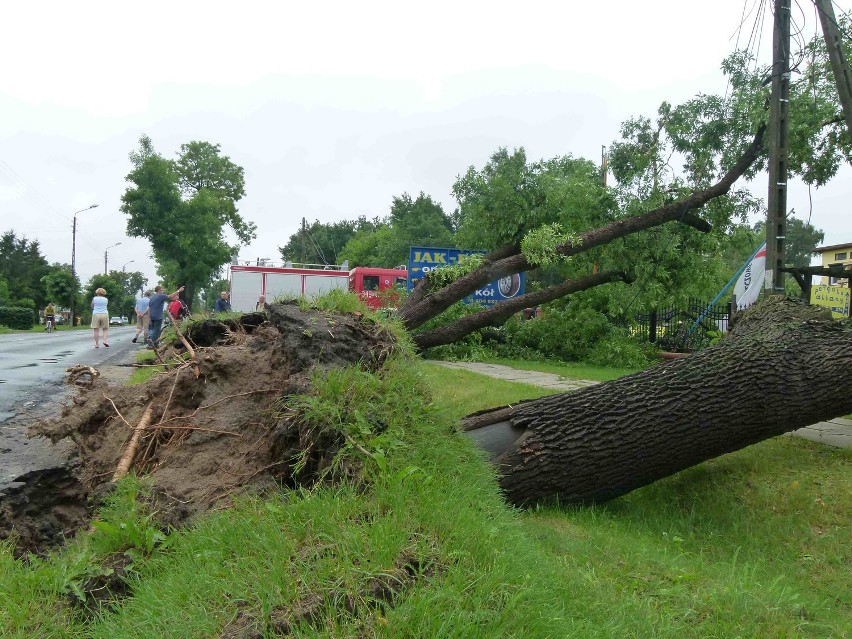 Piotrków, powiat: Wichura zerwała dachy, powaliła drzewa...