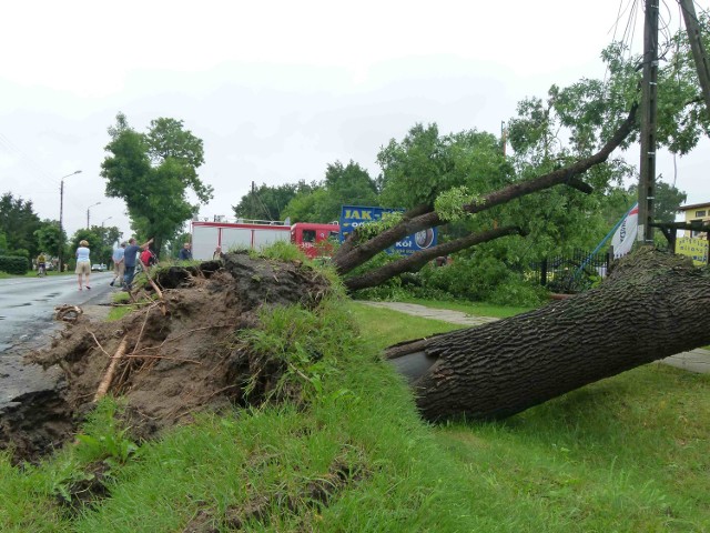 Piotrków, powiat: Wichura zerwała dachy, powaliła drzewa 20.07.2011