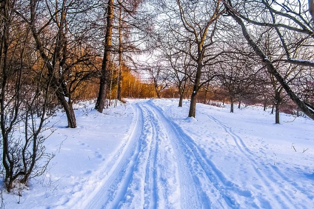 Lodowisko na Torwarze działa przez cały rok. Jeśli tęskniliście za zimowymi atrakcjami - tutaj zawsze pojeździcie na łyżwach. Na miejscu można wypożyczyć sprzęt.

Godziny otwarcia:
Sobota: 18:30 – 20:00
Niedziela: 11:00 – 12:30, 18:30 – 20:00

Bilety: Normalny - 13 zł, Ulgowy - 9 zł