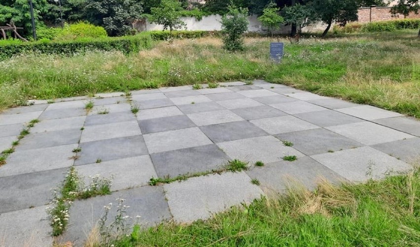 Szachownica w miejskim parku w Żarach zniknęła w trawie