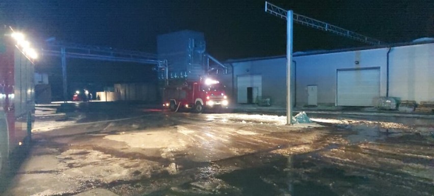Pożar trocin i silosu w Kobylinie. Na miejscu działało 5 zastępów straży pożarnej [ZDJĘCIA]