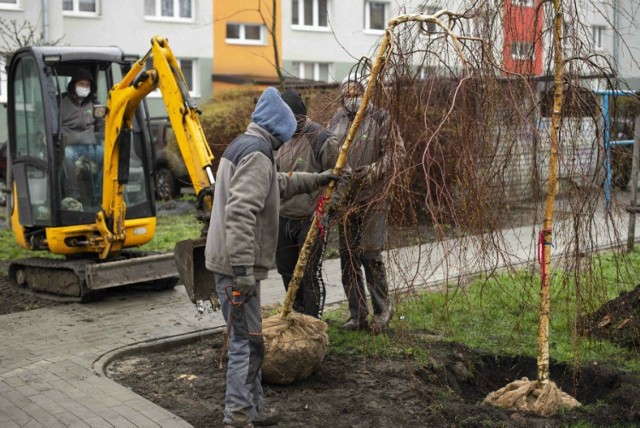 Przy alei Niepodległości 29 w Częstochowie powstał kieszonkowy park

Zobacz kolejne zdjęcia. Przesuwaj zdjęcia w prawo - naciśnij strzałkę lub przycisk NASTĘPNE