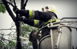 OSP Zbytowa walczy o wygraną w plebiscycie strażackim