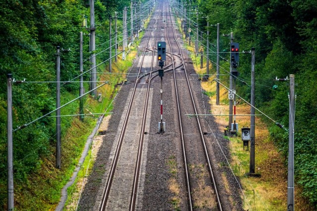 Pociągiem dojedziemy do lotniska w Pyrzowicach. Wzdłuż linii zasadzą drzewa, będą budki dla sów, dzięciołów