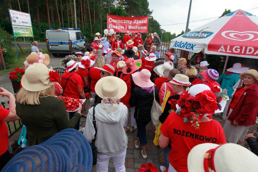 Dziś (24 czerwca) imieniny Bożeny. Panie o tym imieniu przez...