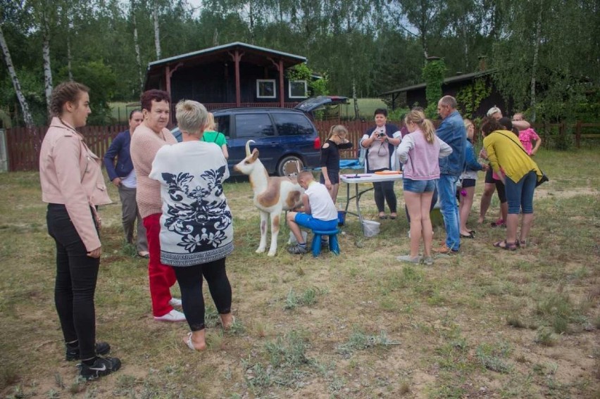 Piknik rodzin zastępczych z powiatu leszczyńskiego. Bardzo ważna i potrzebna impreza [ZDJĘCIA]