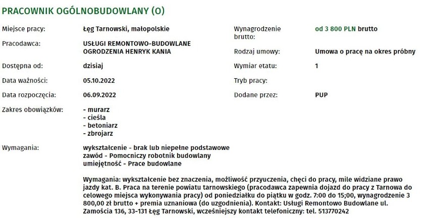 Praca w Tarnowie i okolicy. Poszukiwani kierowcy, diagności, cukiernicy. Aktualne oferty pracy z regionu [WRZESIEŃ 2022]