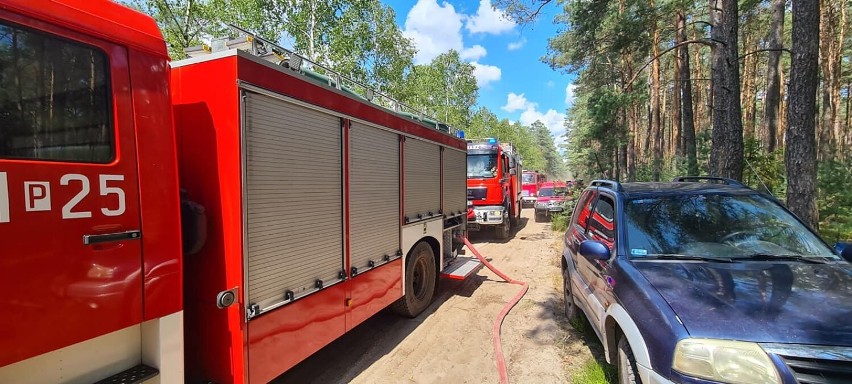 Pożar w lesie w okolicach Klempicza