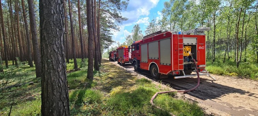 Pożar w lesie w okolicach Klempicza