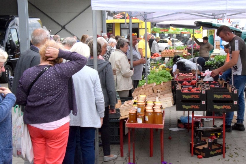 W czwartek na targu w Ostrowcu Świętokrzyskim spotkaliśmy...