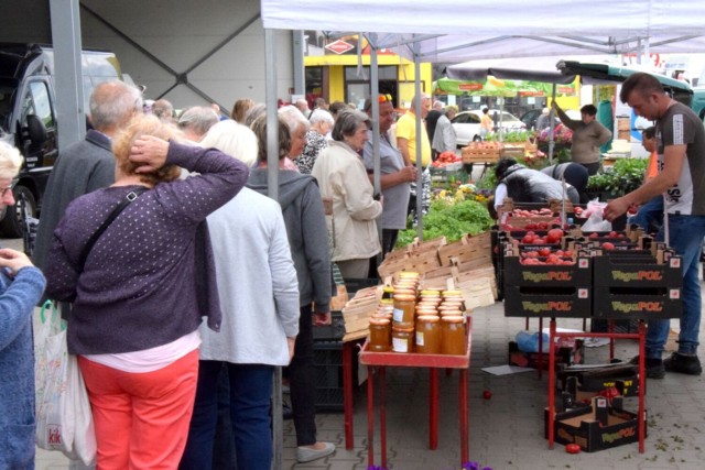 W czwartek na targu w Ostrowcu Świętokrzyskim spotkaliśmy wielu klientów. Długie kolejki ustawiały się do stoisk ze świeżymi warzywami i owocami. Pomidory, jabłka i banany był rozchwytywane.

Zobacz, jak było w czwartek, 26 maja na targu w Ostrowcu na kolejnych slajdach.