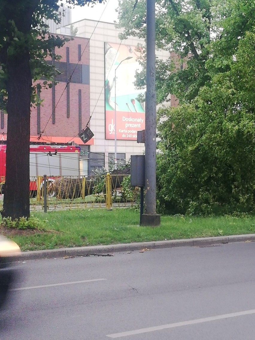 - A w centrum drzewa na trakcję spadają - informuje nasz...