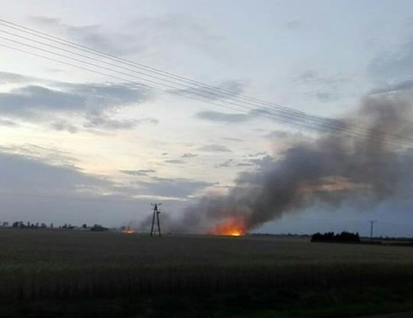 Duży pożar w gminie Brześć Kujawski. Kilka zastępów straży pożarnej na miejscu pożaru [zdjęcia]