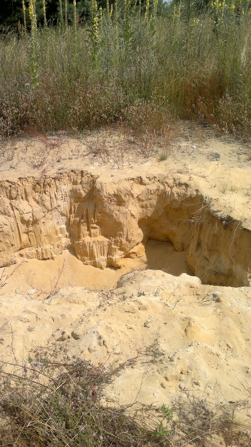 Kopalnia piasku w Chruszczobrodzie