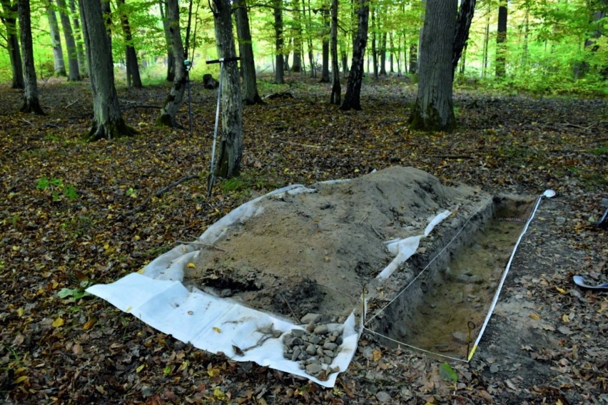 Odkrycie archeologów w Borach Tucholskich