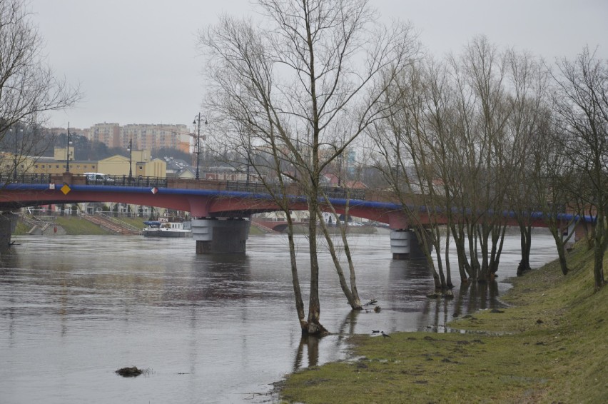 Warta w Gorzowie zalała dolną część bulwaru. Rzeka cały czas...