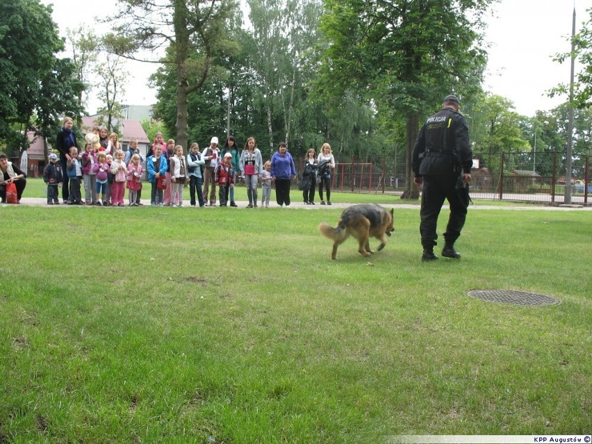 Policjanci z Augustowa na festynie w liceum [zdjęcia]