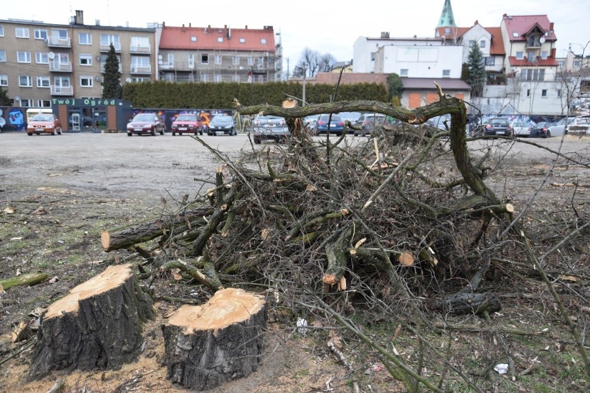 Z placu festynowego w centrum Olesna wycięto wszystkie...