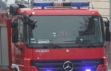 Pożar w Ostrowcu. Podpalony śmietnik, uszkodzona elewacja budynku