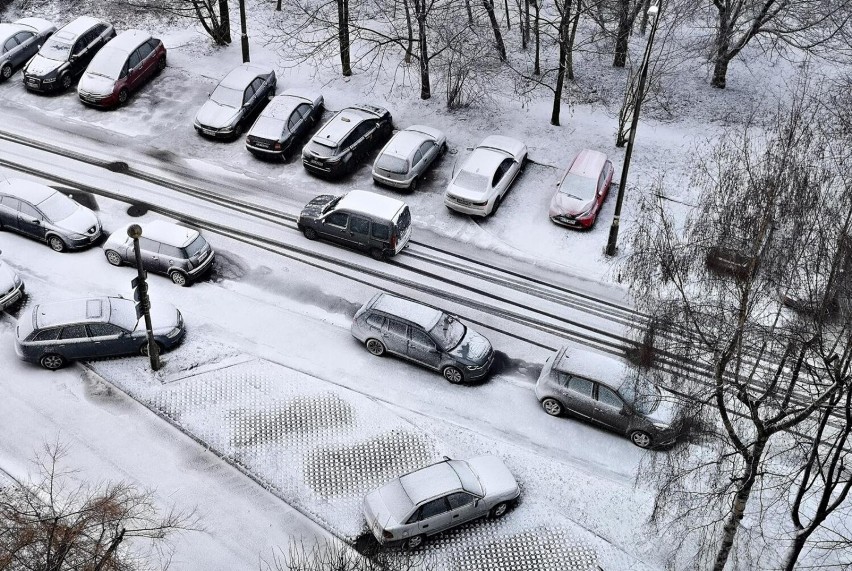 Niż Brygida nad Polską. Czeka nas prawdziwy atak zimy, śnieg i mrozy. Apel wiceprezydenta