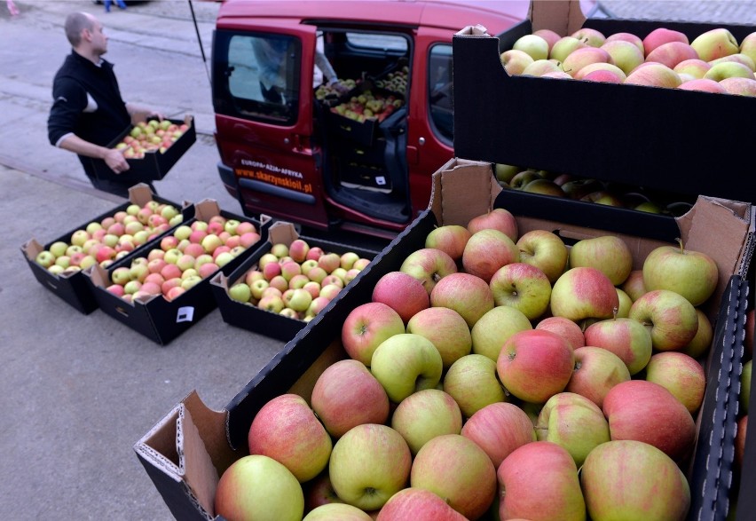 Sadownicy sprzedają jabłka poniżej kosztów