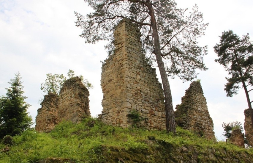 Rożnów. Kiedy w końcu ruszy odbudowa zamku Zawiszy Czarnego? [ZDJĘCIA]