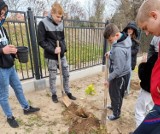 Szkoła podstawowa w Łazach przyłączyła się do akcji sadzenia drzew miododajnych [ZDJĘCIA]