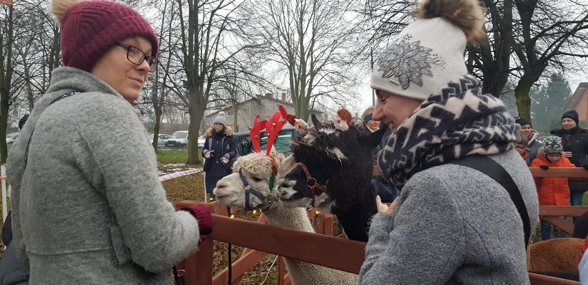 Spotkanie Bożonarodzeniowe w Morawinie