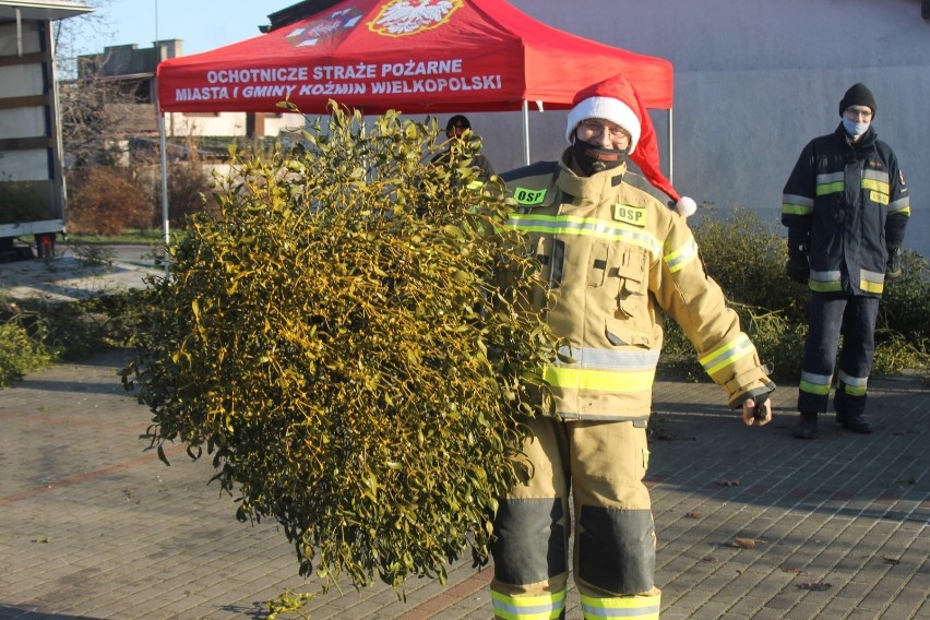 Strażacy ochotnicy rozdawali świąteczną jemiołę mieszkańcom [ZDJĘCIA + FILM]