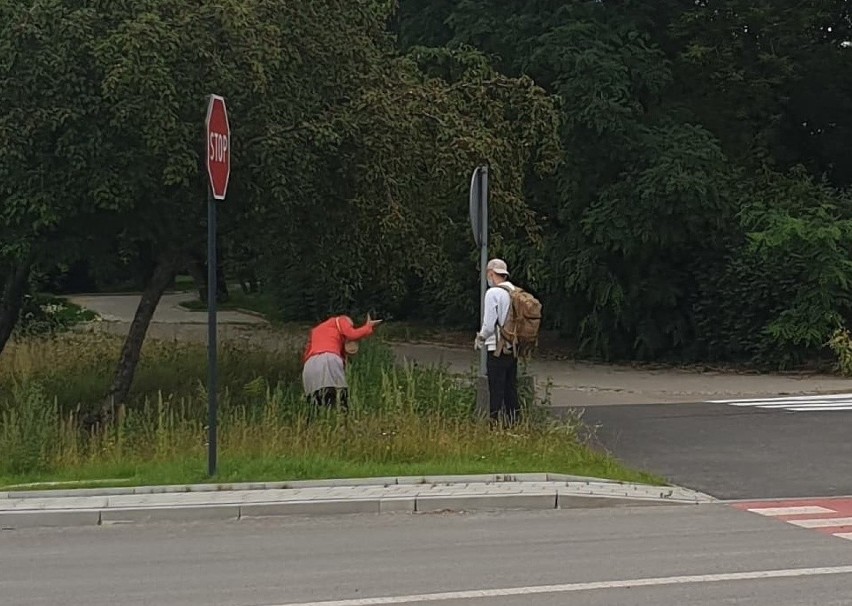 Pijana para zasnęła w wysokiej trawie przy ul. Rzgowskiej w Łodzi. Chciał im pomóc młody mężczyzna... ZDJĘCIA