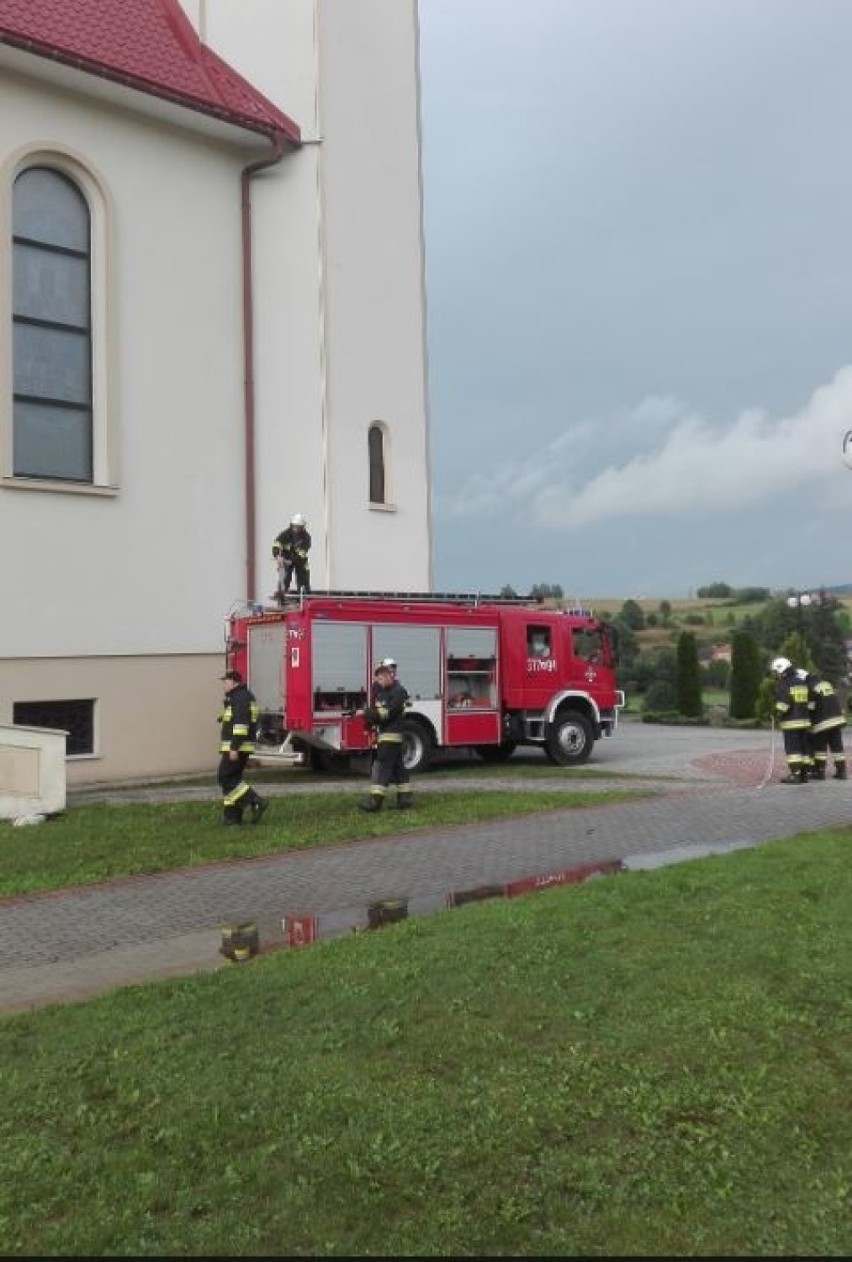 Czermna. Strażacy uratowali bociana uwięzionego na dachu kościoła [ZDJĘCIA]