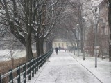 22 grudnia początek astronomicznej zimy. ZDJĘCIA