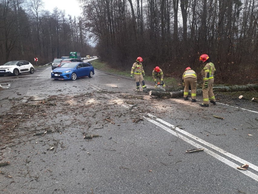 Na drogę krajową nr 75 w Okocimiu spadło drzewo, kierowca...