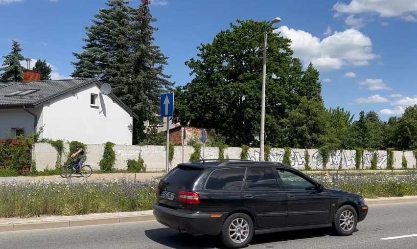 Kwietna łąka w ciągu ulicy Widok jest pierwszą, lecz zapewne nie ostatnią w Skierniewicach