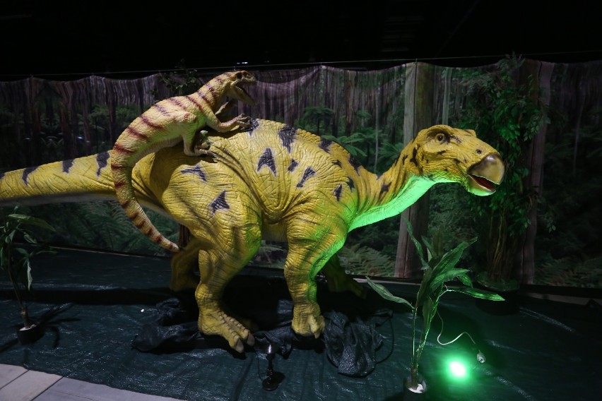 Dino Expo, Warszawa 2019. Żywe dinozaury, skorpiony i...