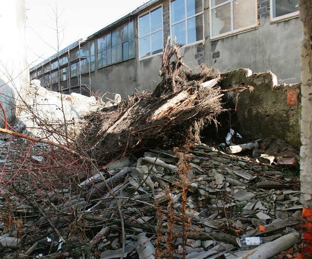 Azbest jest w Ogrodzieńcu wielkim problemem ekologicznym