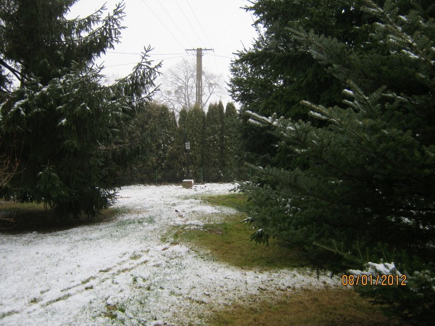 Okolice Nałęczowa - ale już po śniegu, pada deszcz