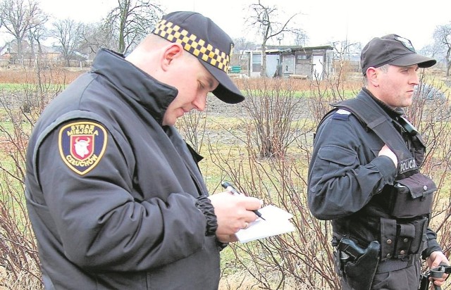 Strażnicy miejscy przynoszą do kasy miast i gmin miliony złotych