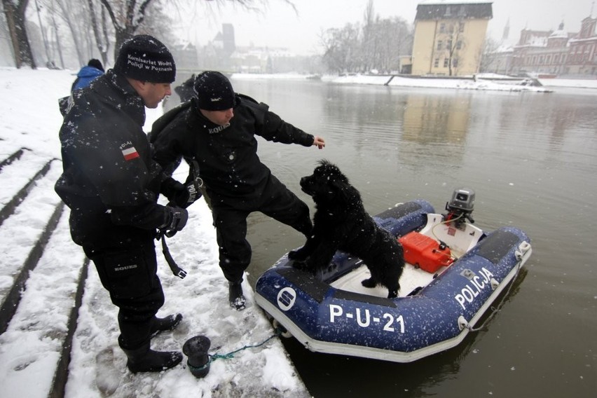 Szukali Piotra Lucińskiego z psami do wykrywania zwłok w wodzie (FOTO)