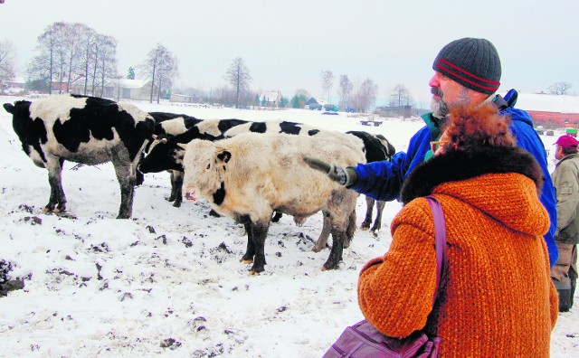 Zwierzęta stały na mrozie od początku zimy