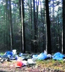 Widok takiej sterty śmieci zniechęcał do spacerów po lesie. Wandale muszą ją teraz usunąć i zapłacić mandat