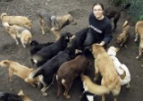 Łodzianka ma na działce sto psów, ale pomocy znikąd