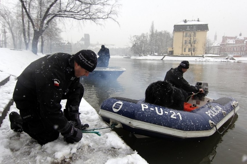 Szukali Piotra Lucińskiego z psami do wykrywania zwłok w wodzie (FOTO)